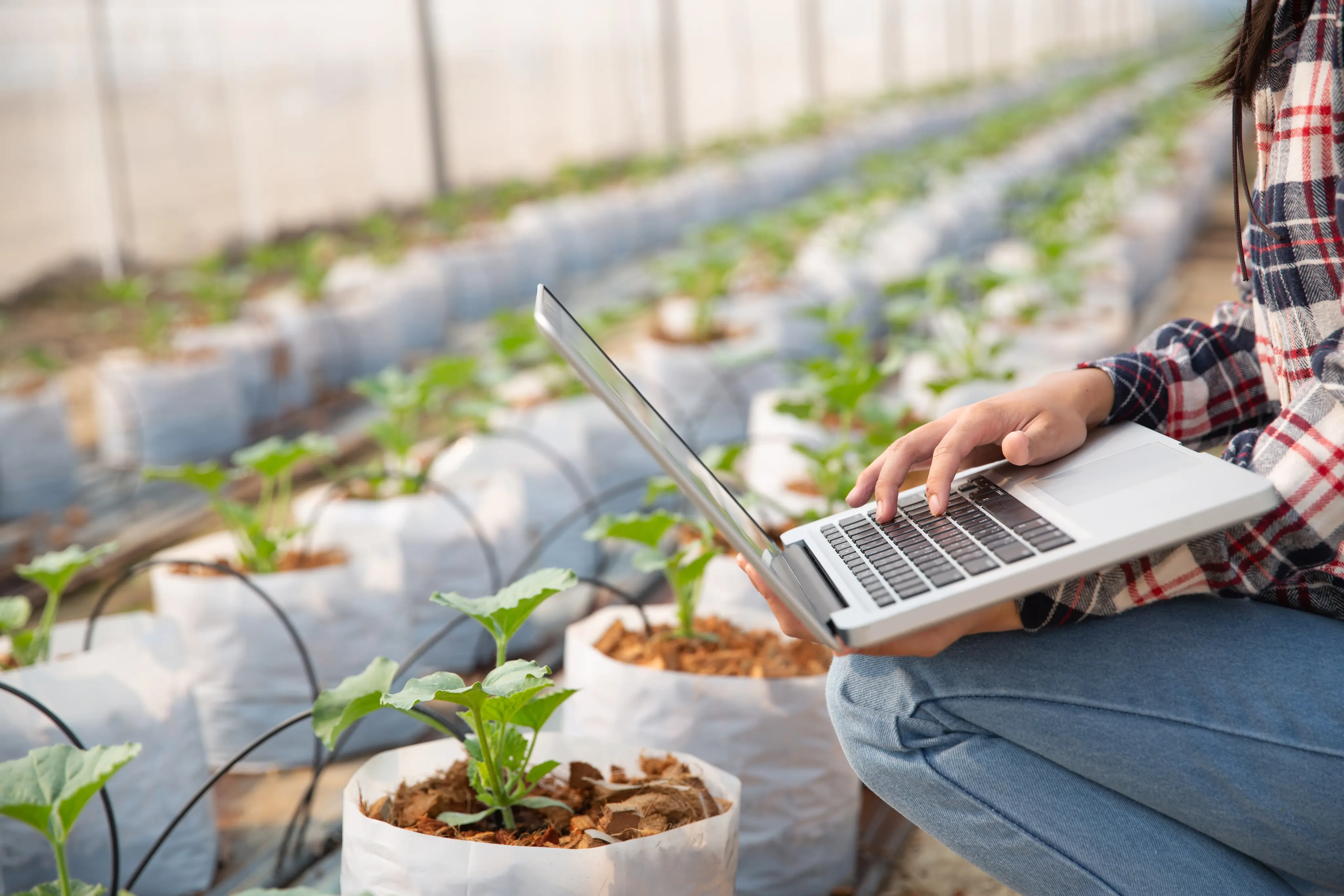 Business Innovation Support